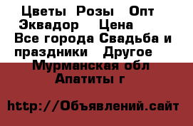 Цветы. Розы.  Опт.  Эквадор. › Цена ­ 50 - Все города Свадьба и праздники » Другое   . Мурманская обл.,Апатиты г.